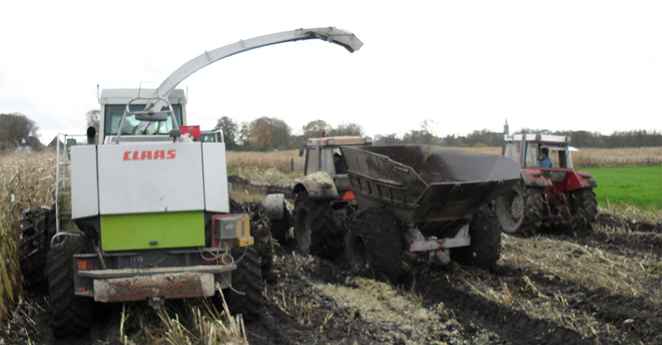 Mais-oogsten met hakselaar "CLAAS-Jaguar 840" mais-oogsten(3).jpg