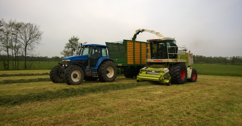 grashakselen 5 mei 2014 Oudwoude Grashakselen_5-mei-2014 (3).jpg