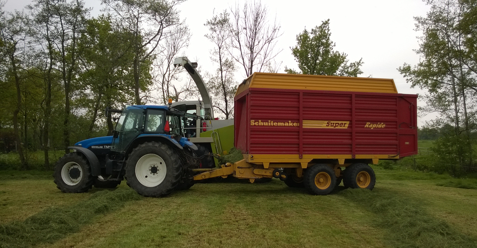 grashakselen 5 mei 2014 Oudwoude Grashakselen_5-mei-2014 (7).jpg
